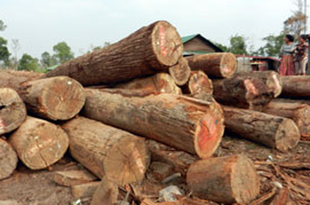 សង្គមស៊ីវិល​ឃ្លាំមើល​បញ្ហា​ព្រៃ​ឈើ​ថា ការ​ព្រួយ​បារម្ភ​របស់​រដ្ឋមន្ត្រី​បរិស្ថាន​ជុំវិញ​ការ​រត់​ពន្ធ​ឈើនិង​សត្វ​ព្រៃ​កម្រគឺ​ជា​រឿង​យឺត​ពេល